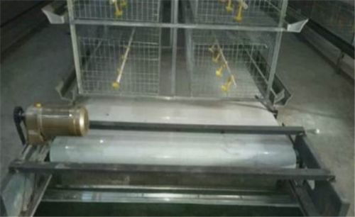 雞糞傳送帶 提升湖南養雞場清潔效率的關鍵畜牧機械